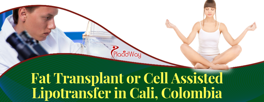 Fat Transplant or Cell Assisted Lipotransfer